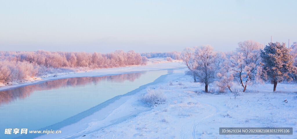 雪地