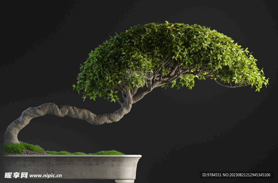 绿植c4d模型