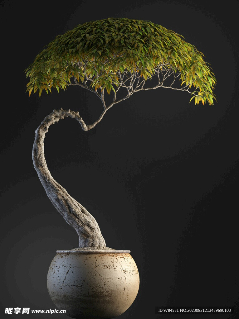 绿植模型