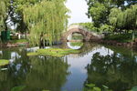 池塘