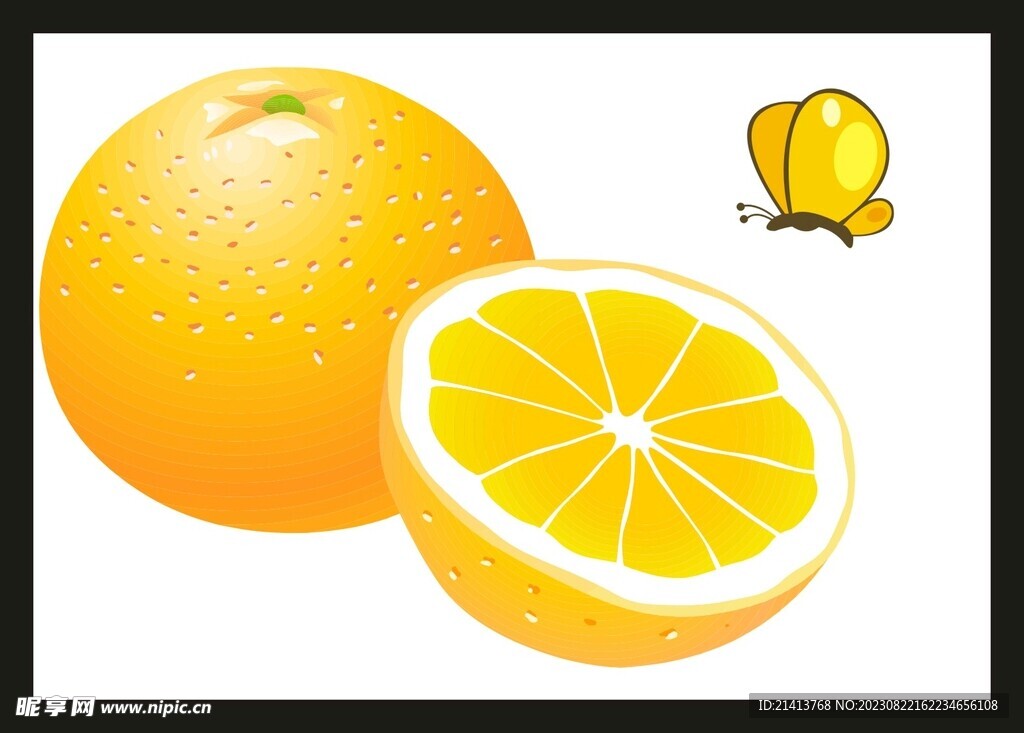 手绘橙子水果