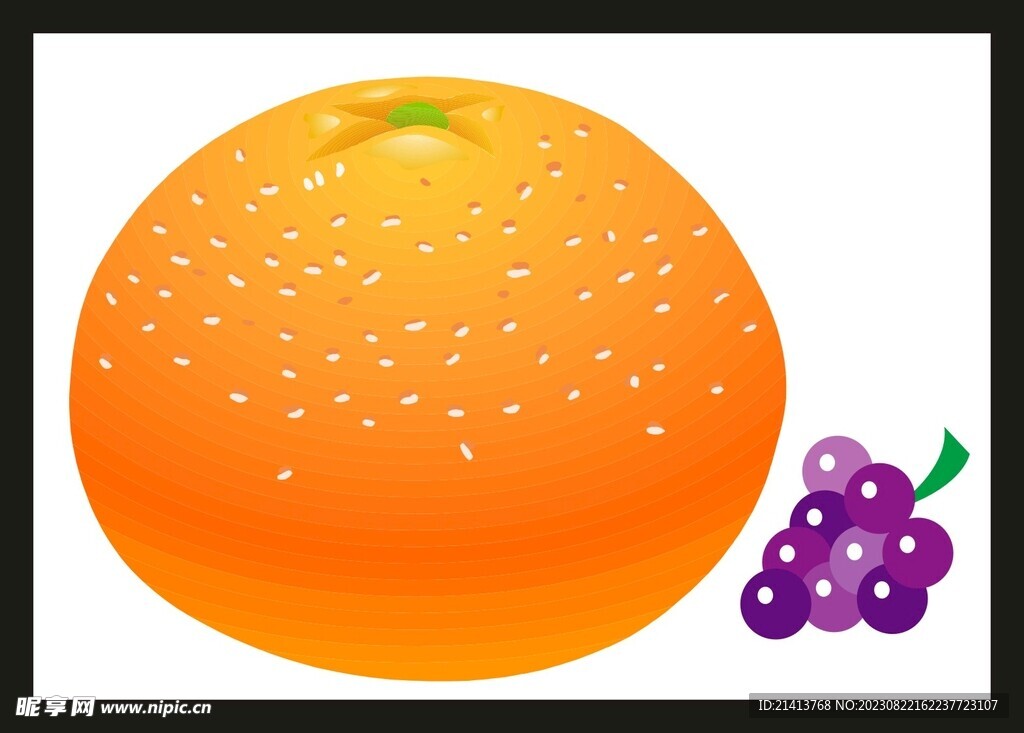 手绘橙子水果