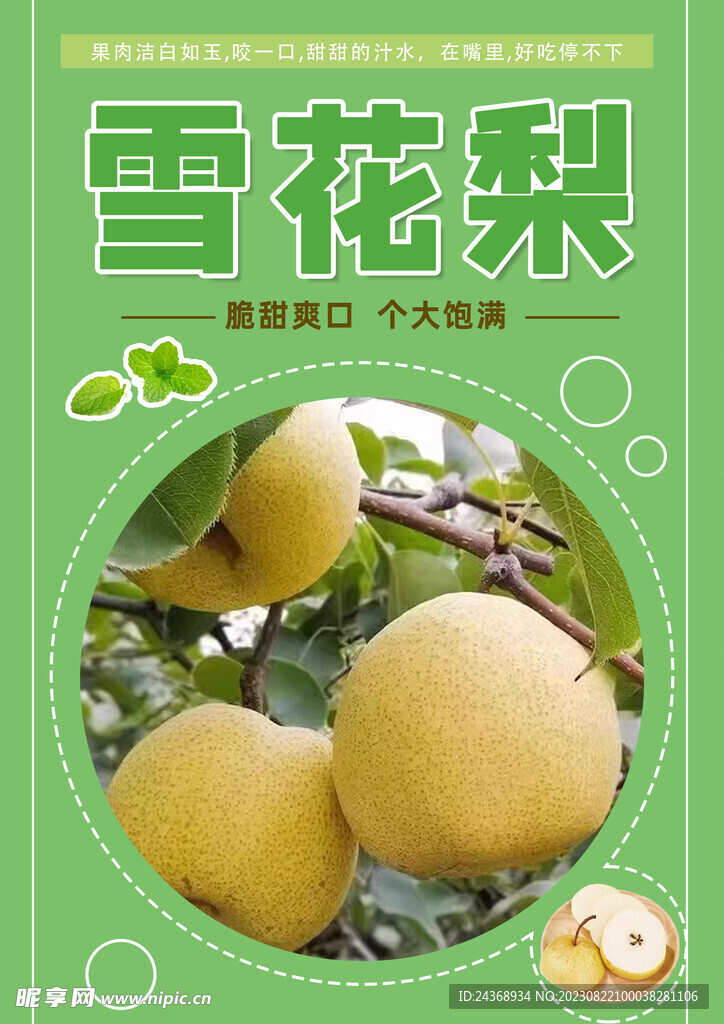 雪花梨