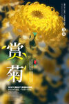 重阳节