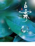 白露海报