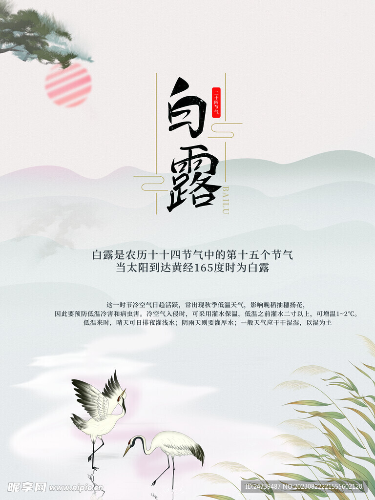 白露海报