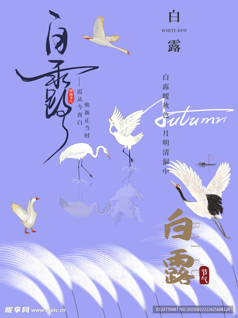 白露素材