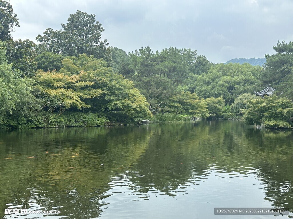 公园湖面风景