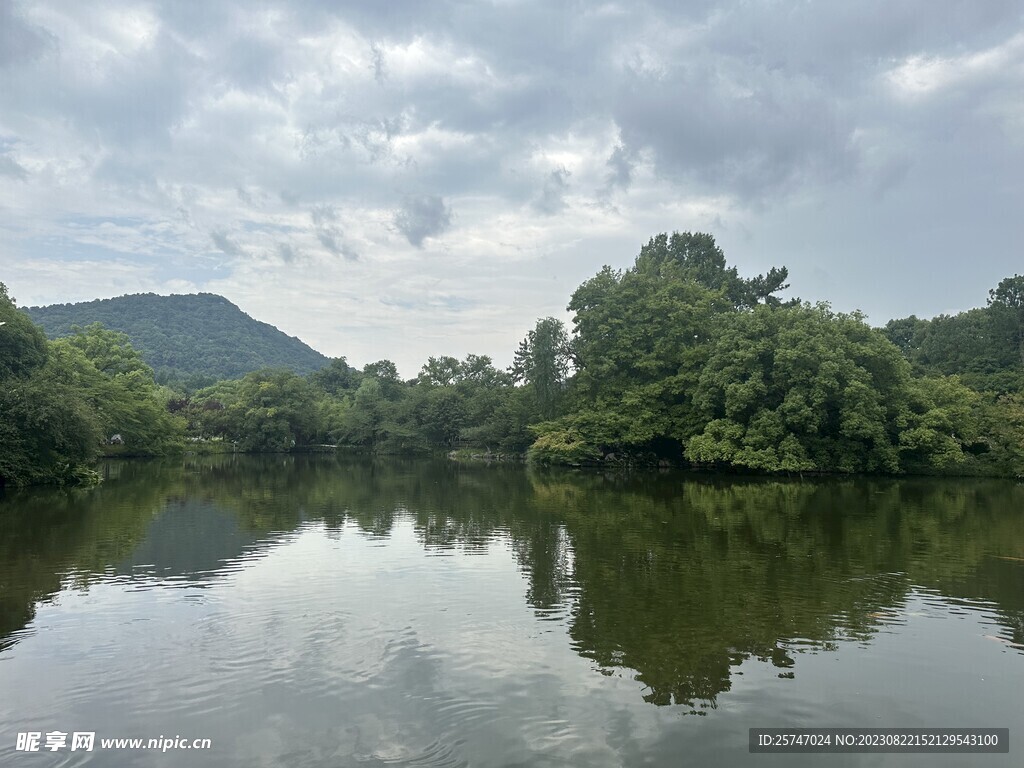 西湖湖面林荫