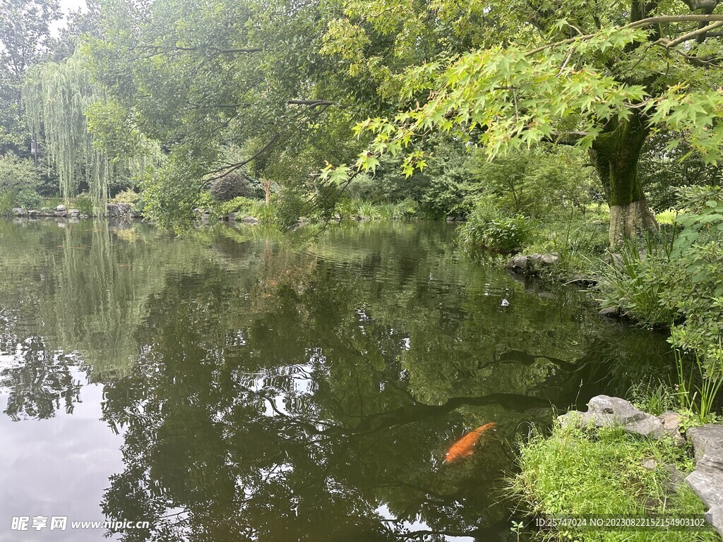 西湖公园湖面一角