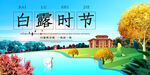 白露时节