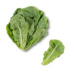 生菜png          