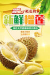 榴莲海报