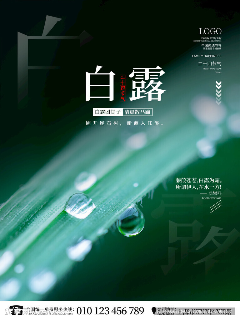 白露宣传设计