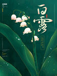 白露活动素材