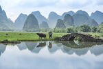 旅游风景