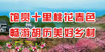 饱赏十里桃花春色 畅游胡历美好