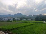田园风光