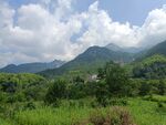 夏季田野