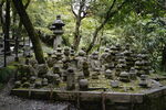 日本京都清水寺 