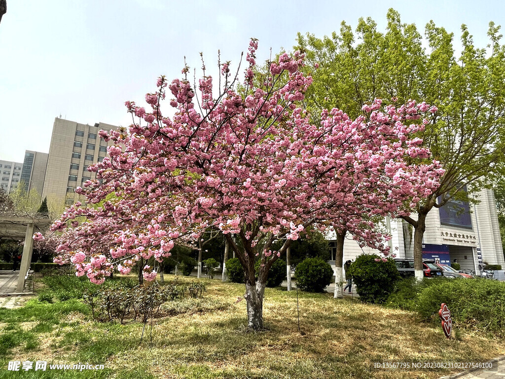 华北电力大学一景