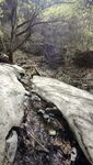双龙峡雪融溪水