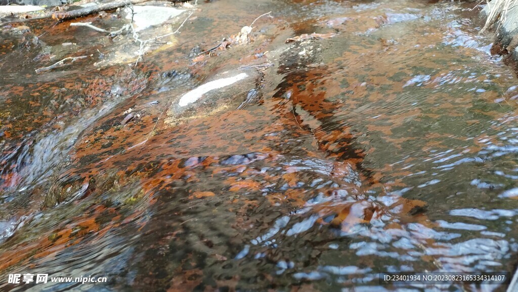 双龙峡溪水石头河流