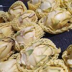 黄皮火龙果