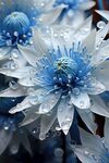 花朵框画 