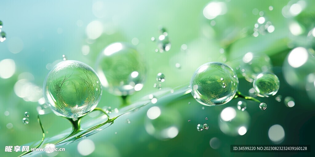 水分子