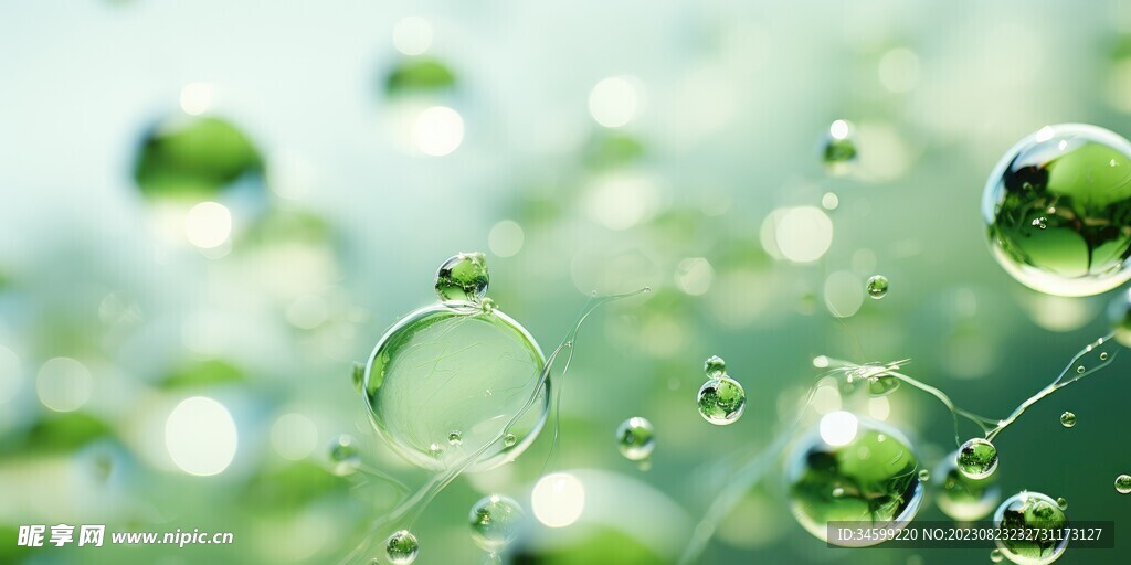 水分子