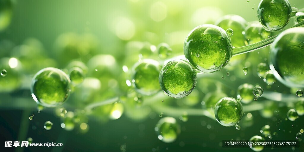 水分子