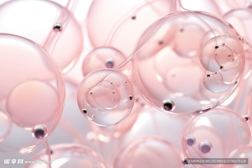 水分子
