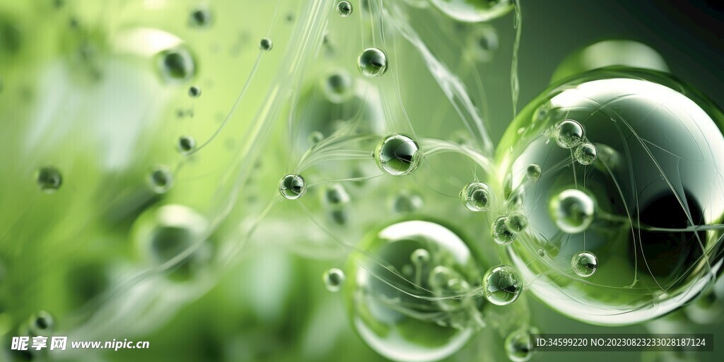 水分子