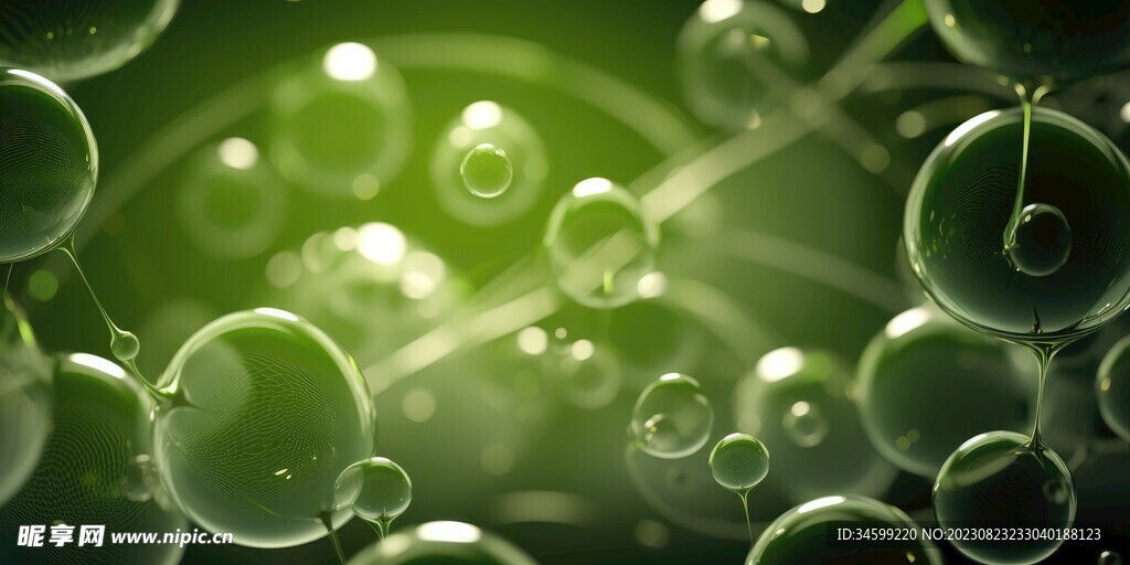 水分子