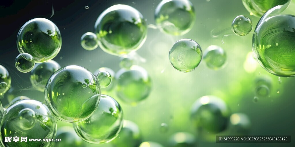水分子
