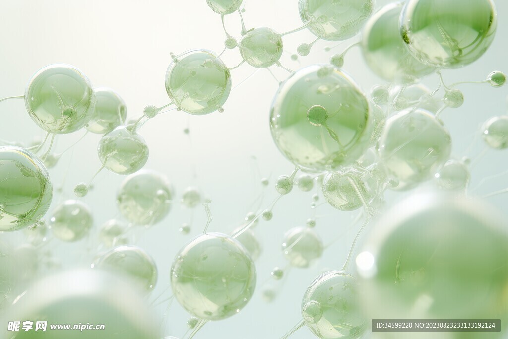 水分子