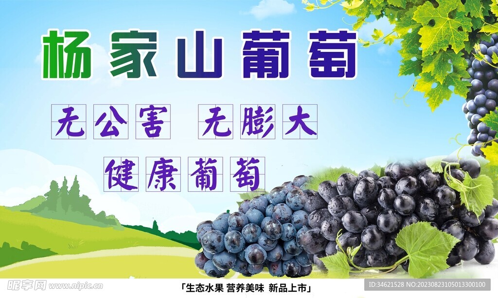 葡萄