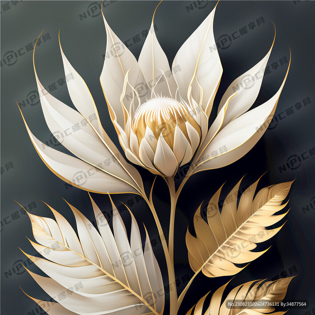 大叶植物进行变形