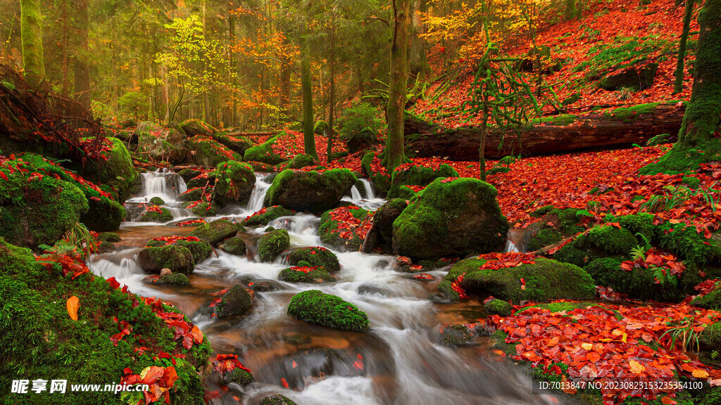 小溪风景