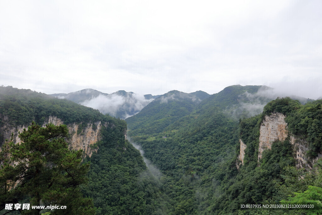 张家界大峡谷  