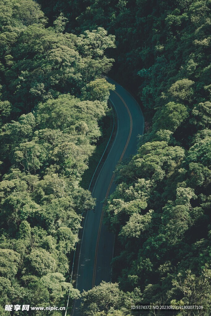 森林公路