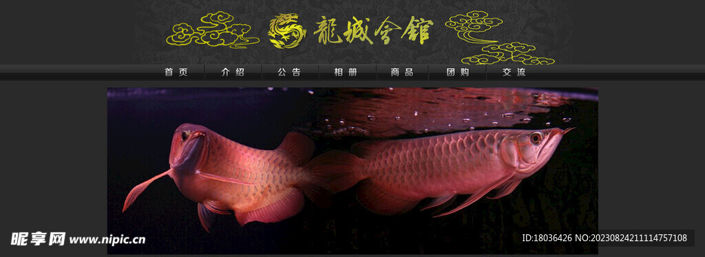 电商活动海报