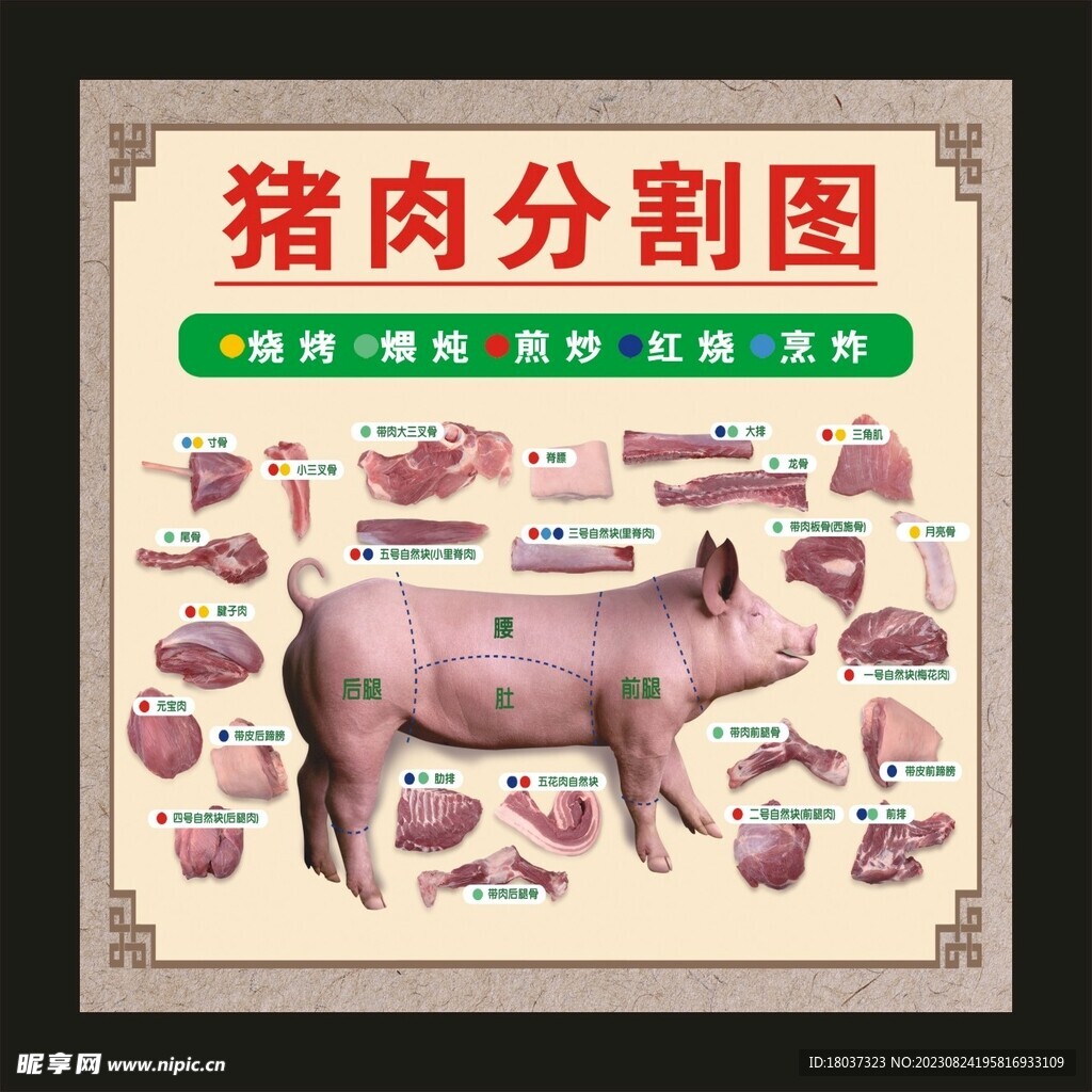 猪肉分割图 宣传海报