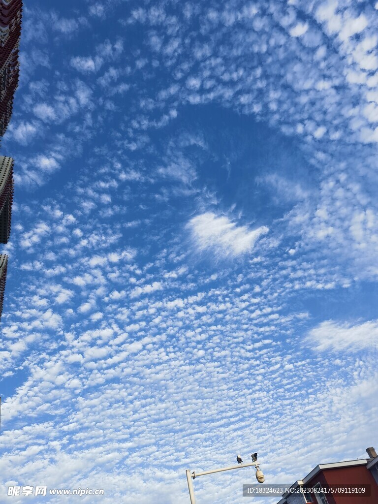 蓝天