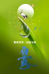 白露节气