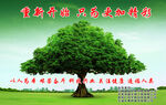 加加宁