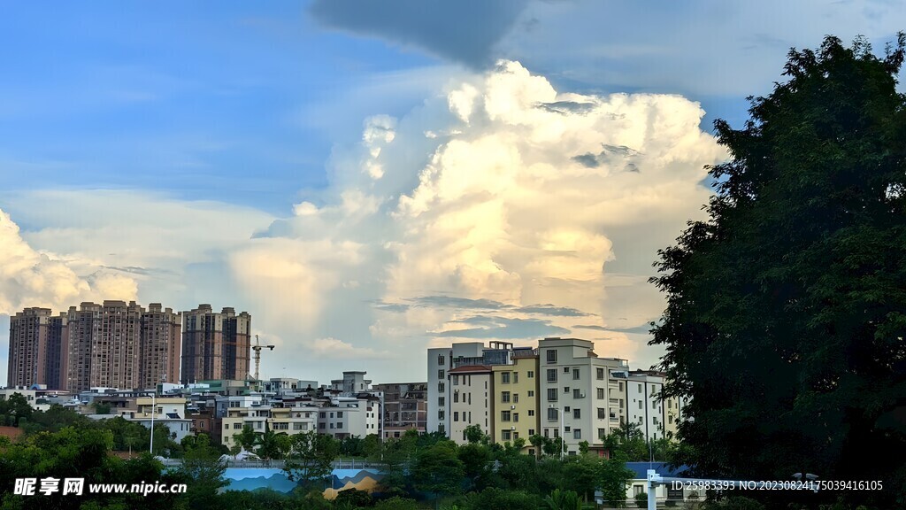 海滨城市