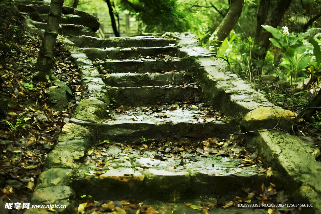 登山台阶