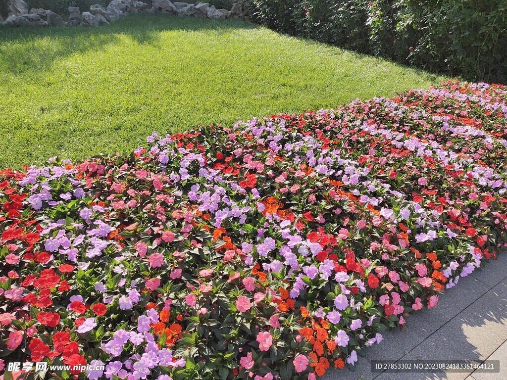 花